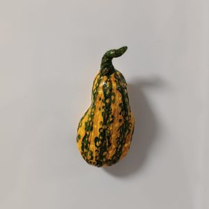 Iman - Calabaza amarilla y verde