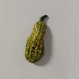 Iman - Calabaza verde con motitas