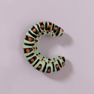 Iman - Oruga