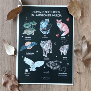 Lamina - Animales nocturnos de la Región de Murcia