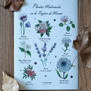 Lamina - Plantas medicinales de la Región de Murcia