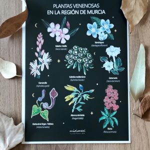 Lamina - Plantas venenosas de la Región de Murcia